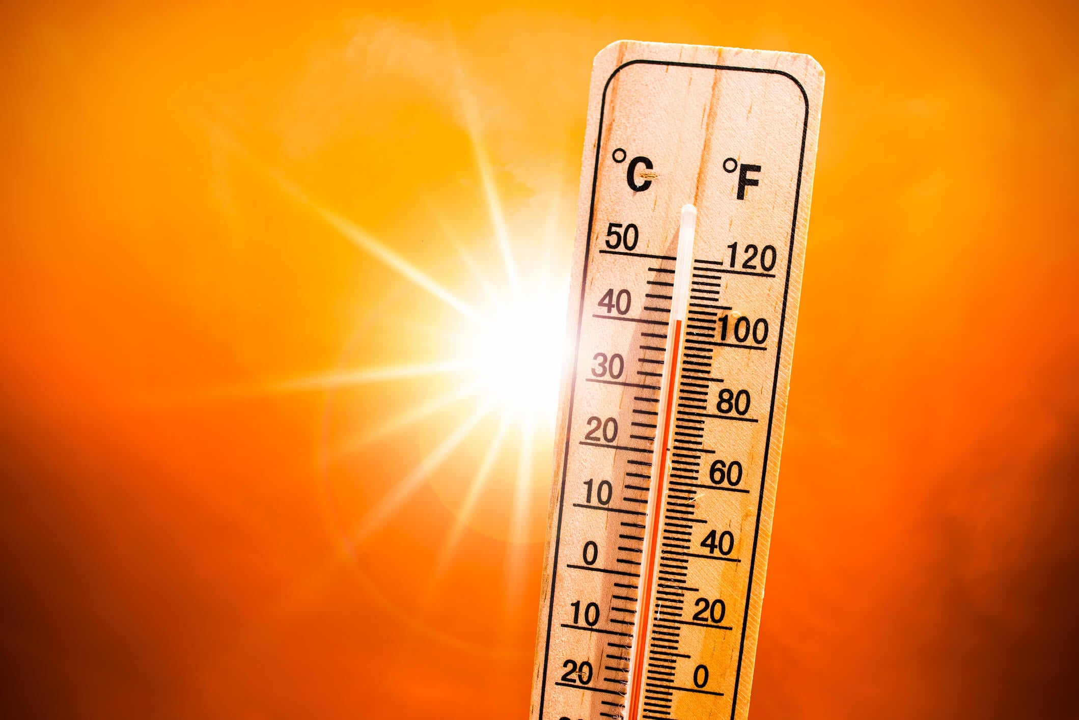 Navigating Summer Peaks with Dynamic Setpoints: The Adaptive HVAC Management Strategy