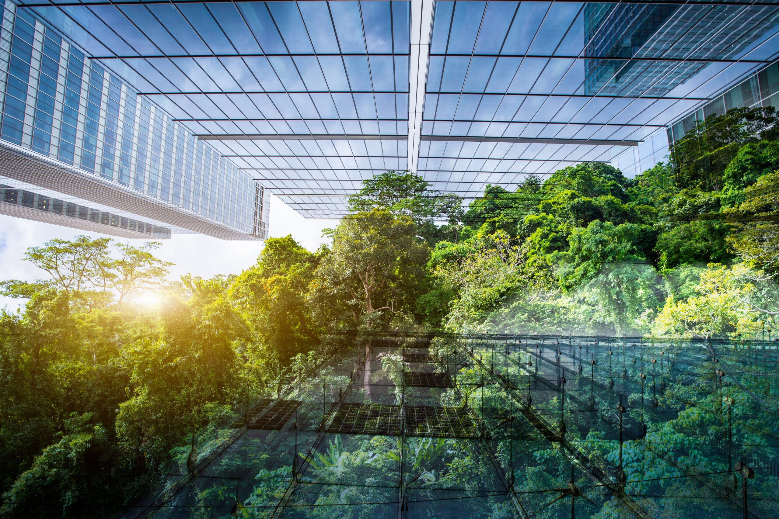 Sustainable Energy- What is it and why is it important?